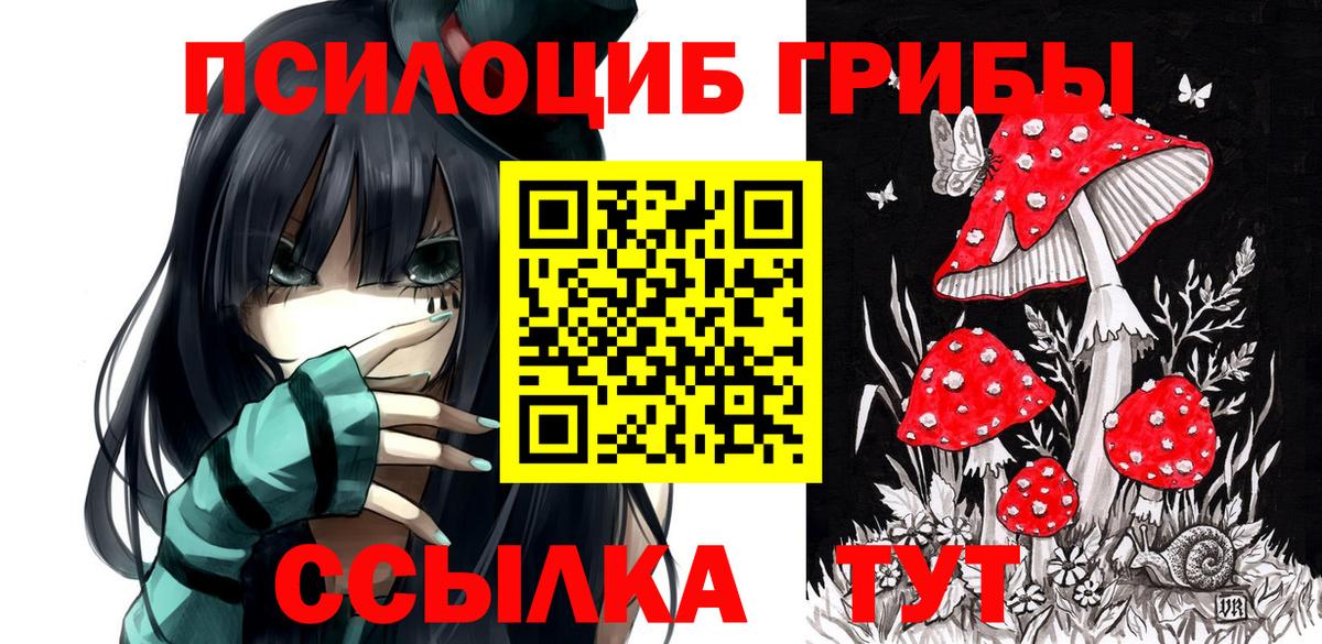 Псилоцибиновые грибы ЛСД  Севастополь 